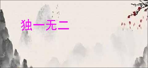 独一无二