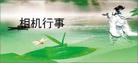 相机行事