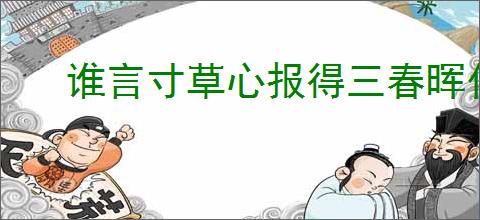谁言寸草心报得三春晖什么意思