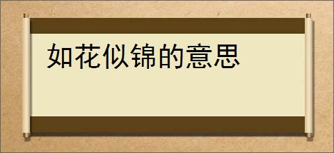 如花似锦的意思
